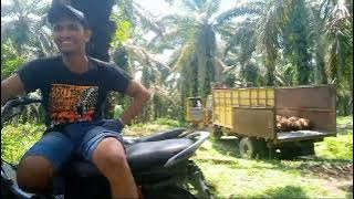 akibat terlalu lama nunggu yang nglangsir