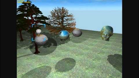 Dynamic Environment Mapping