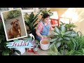 Getting a Dog for a Week & Buying a Million Plants