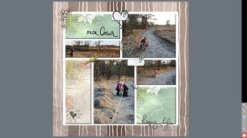 Digitaal scrappen met studio scrap (nederlands gesproken)