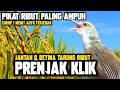 SUPER LENGKET‼️PRENJAK KLIK JANTAN & BETINA GACOR TARUNG RIBUT || SUARA PIKAT PRENJAK SAWAH RIBUT