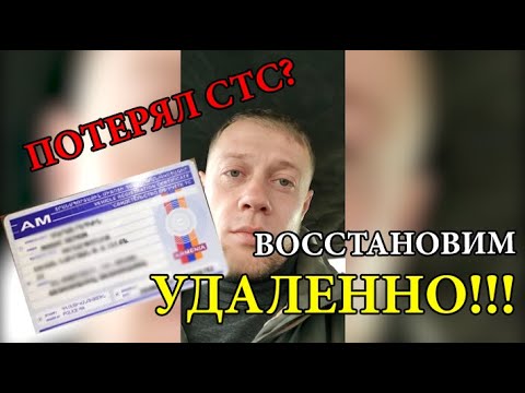 Восстановление потерянного СТС на авто из Армении. Быстро и просто! Отзыв