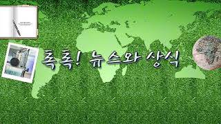 [톡톡] 옥수수 연료로 나는 비행기, 탄소 배출을 줄인다! 지속 가능한 항공유(SAF)란? 6.../ YTN 라디오