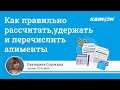 Как правильно рассчитать, удержать и перечислить алименты