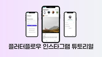 [ FLUTTER  10분 ]  플러터플로우 인스타그램 튜토리얼 1