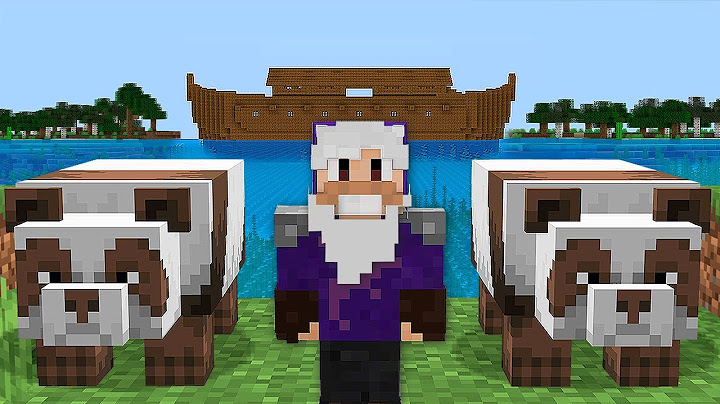 I BUILT THE ANIMAL ARK JUST LIKE NOAH
