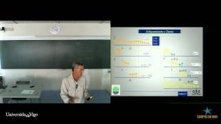 Fast Fourier Transform (FFT) and FFT convolution