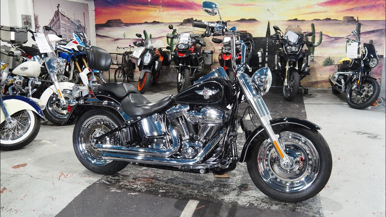 Classic Muscle: 2015 Harley Fat Boy 103 Stage 1 Startup | V&H Mid Shots & some Apes