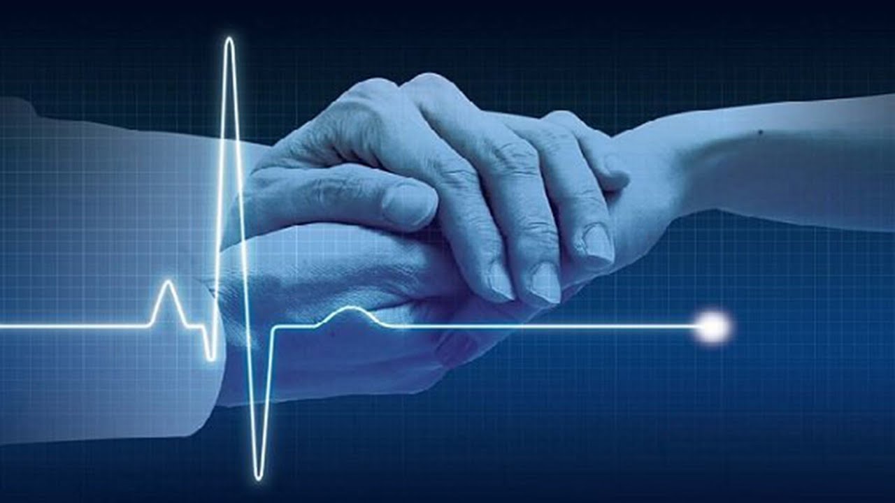 Эвтаназия фото для презентации