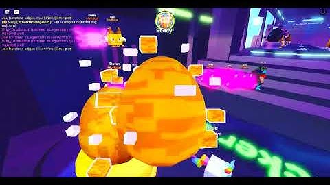 Part 1 of Trying To Hatch Golden Huge Hacked Cat!  |  Roblox Pet Simulator X