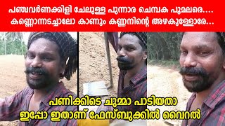 പഞ്ചവർണക്കിളി ചേലുള്ള പുന്നാര ചെമ്പക പൂമലരെ | | nadan pattukal mp3 free download | nadan pattu