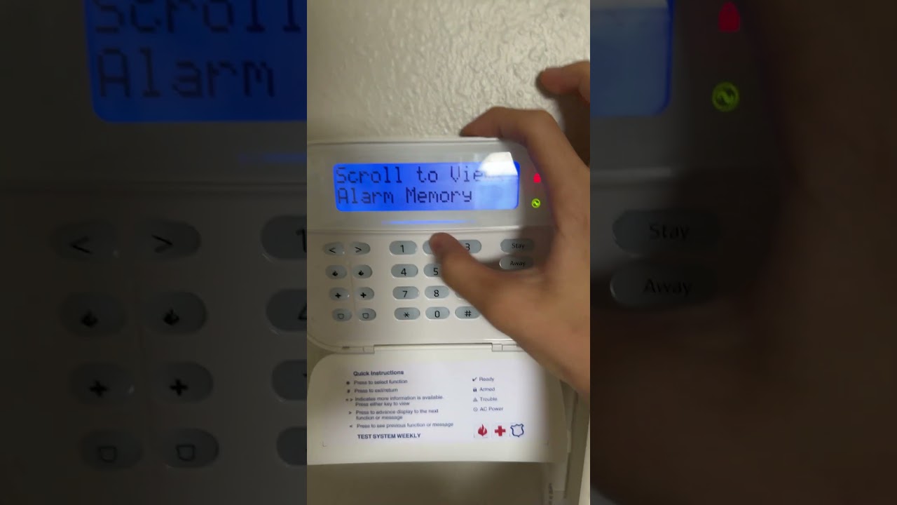 Motion detector alarm