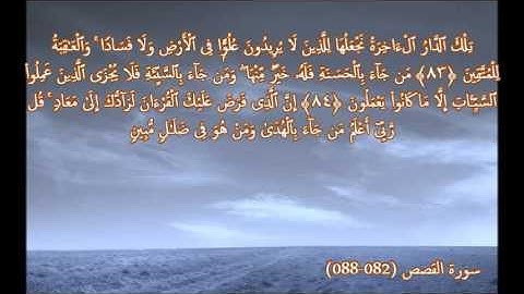 تلاوة خاشعة مؤثرة بصوت الشيخ أبوبكر مومني - آيات كريمات من  سورة القصص