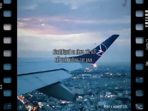 Không có lý do 20s - Vietsub/Pinyin - Nhạc hot Tiktok