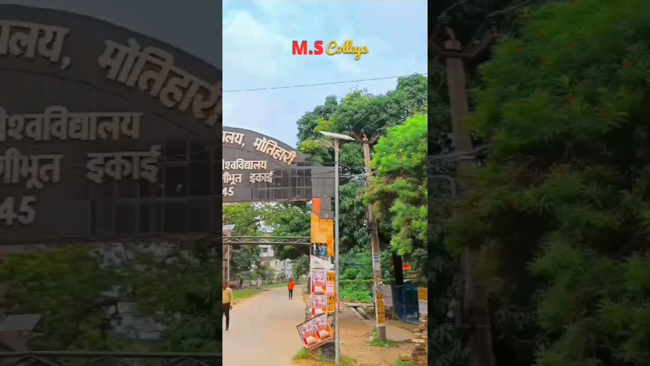 MS college motihari 💯🔥 YouTube