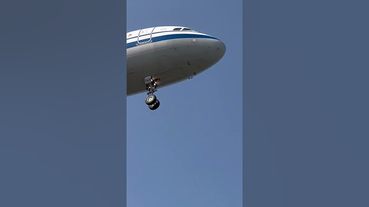 Bird Strike On Airplane During Final Approach #birdstrike
