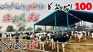 Bhatti Dairy Farm | imported cows | Australian Friesian cows | Jani Best | 17 May 2024