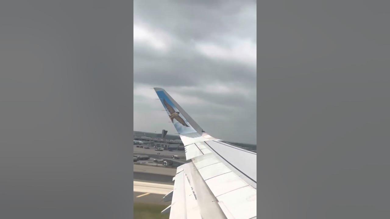 Why is Frontier Airlines Notorious for Expensive Baggage Fees? frontier travel airlines YouTube