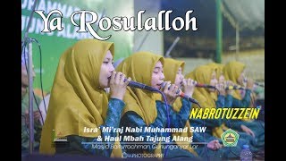 Ya Rosulalloh - Nabrotuzzein