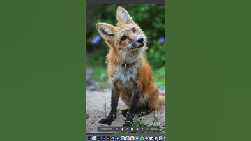 How to Use Adobe Photoshop Generative Fill 😅 Why did it