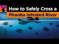 Piranha Safety and Behavior