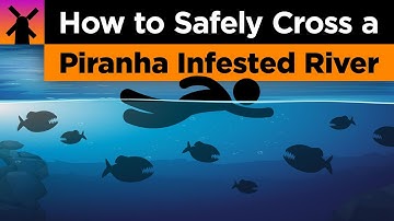 How to Safely Cross a Piranha Infested River