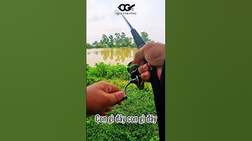 NHƯ MA LÀM!!! CÂU LURE CÁ LÓC KHỦNG DỊCH VỤ BẰNG THẺO QUÁ ĐÃ #caulurecaloc #shorts