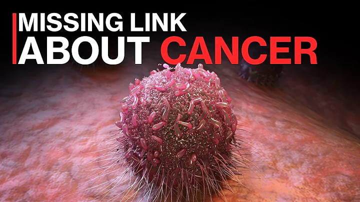 The Truth Behind Anti-Cancer Diets