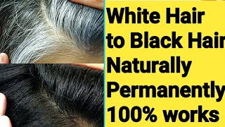 வெள்ளை முடி கருப்பாக இதை செய்தால் போதும் White Hair to Black Hair Naturally Permanently 100% Works