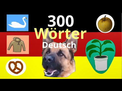 300 Deutsch Wörter für Anfänger