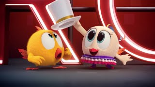 Shall We Dance? Wheres Chicky? Cartoon Collection In English For Kids New Episodes
