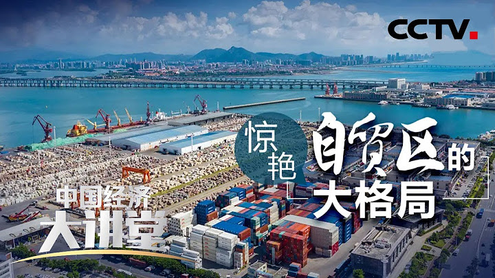 自由贸易试验区试验的是什么？能带来什么好处？“中国经济大讲堂”20211128 | CCTV财经 - 天天要闻