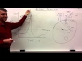 action potential for beginners