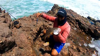 Vea la gran PESCA de CORVINAS en ROCAS