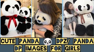 🐼Panda dp pics🐼 | Wallpapers Dpz | Cute Panda WhatsApp Dp| Panda Profile Dpz For Girls screenshot 4