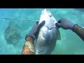 junio variado-17 (pesca submarina) Fuerteventura-spearfishing