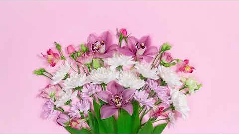 istockphoto 2012848619 640 adpp is