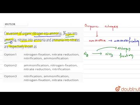 Video: Wat is die proses waardeur nitraatione en nitrietione in stikstofoksiedgas en stikstofgas n2 omgeskakel word?