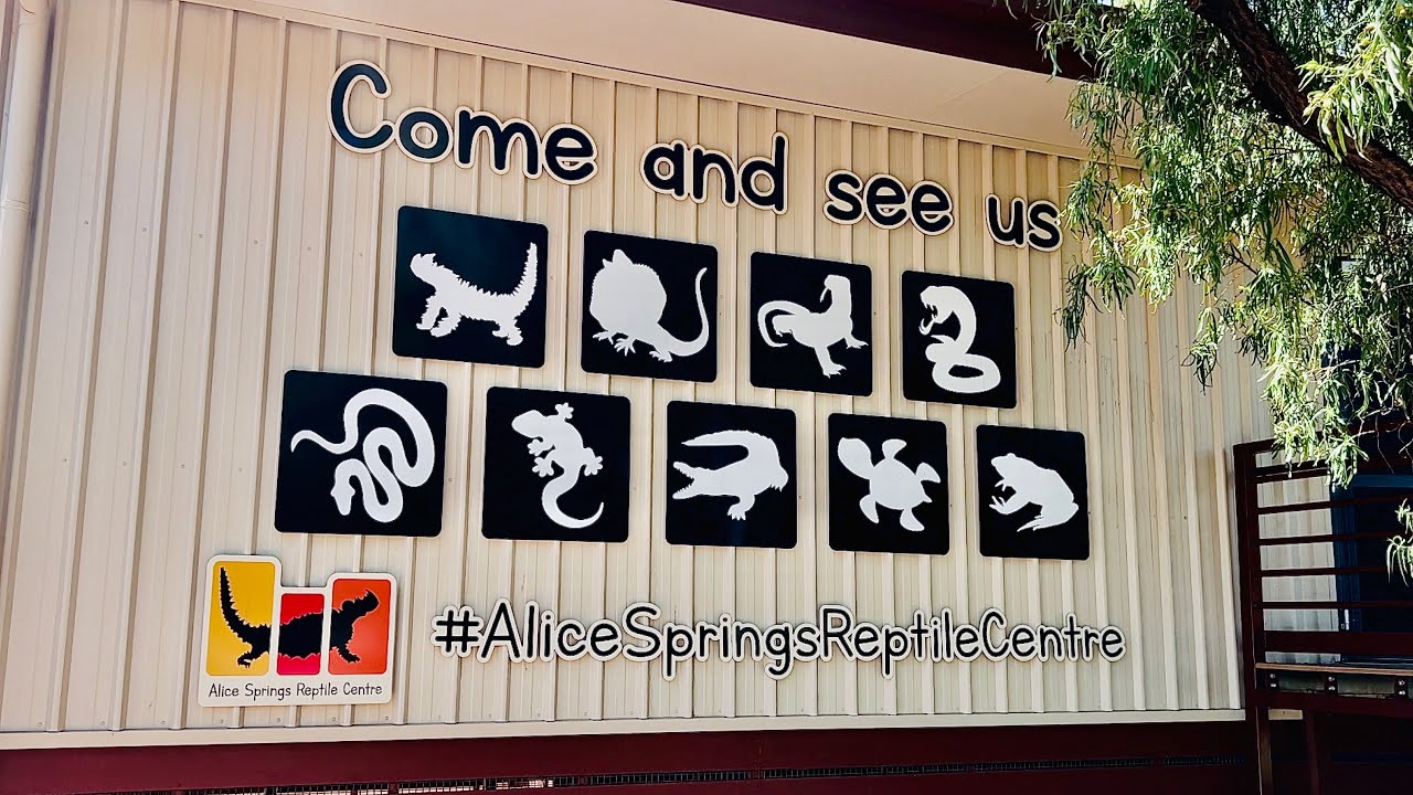 Alice Springs Reptile Centre 2022 YouTube