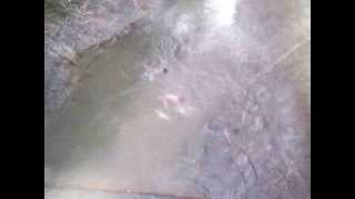 Sedang ngintip orang mandi di sungai part 2
