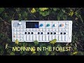 Morning in the Forest | OP-1 Ambient