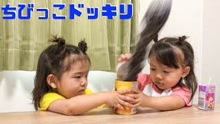 もしも未知の生物が家にいたら…【ドッキリ】