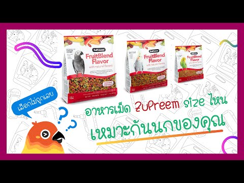นกแก้วของเราควรกินอาหาร ZuPreem เม็ดขนาดไหนดีนะ?