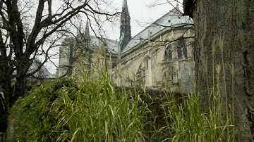 【DaVinci Resolve 15】4.5  カラー／赤い草を緑にする（色相 vs 色相カーブ）