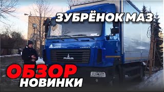 МАЗ 4381С0-2520-000 ОБЗОР НОВОЙ МОДЕЛИ. ОТВЕТ МАЗА ГАЗОНУ Next и КАМАЗУ 4308