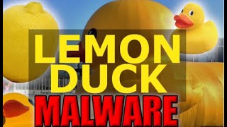 What is "Lemon Duck Malware" and How to Protect Yourself