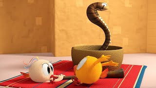 Snake charmer | Where's Chicky? | Cartoon Collection in English for Kids | New episodes