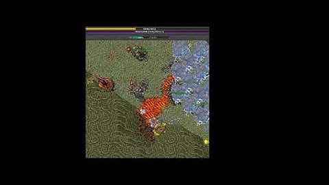 Tibia - Always expect massive DPS