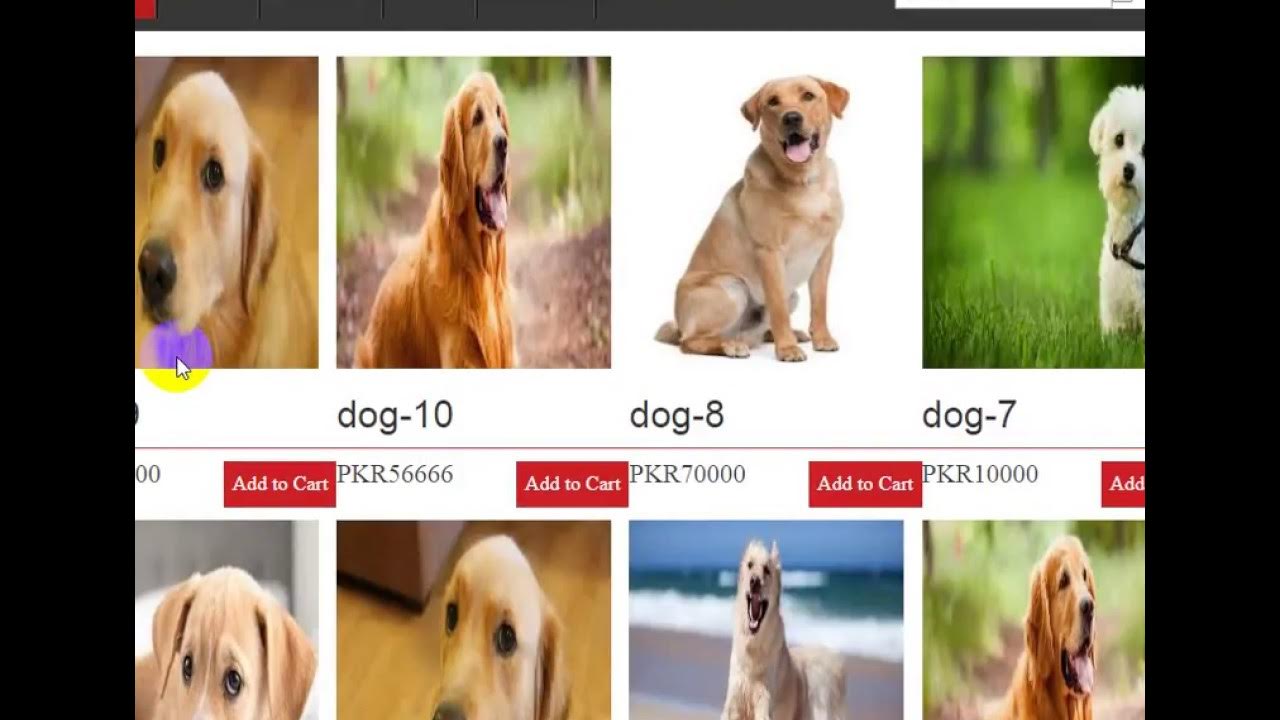 Серая собака с красным ошейником. Собака андроид. Серая и красная собаки. Add dog. Звук собаки.