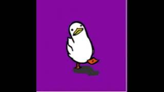 gif duck meme flash warning